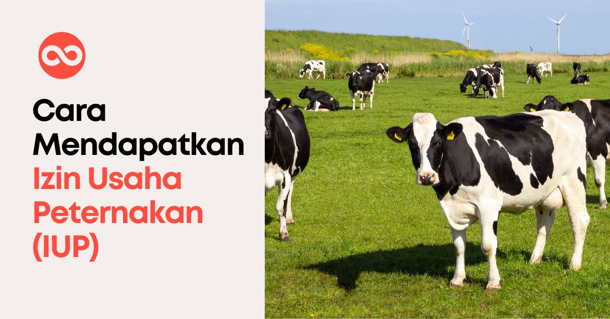 Cara Mendapatkan Izin Usaha Peternakan (IUP)