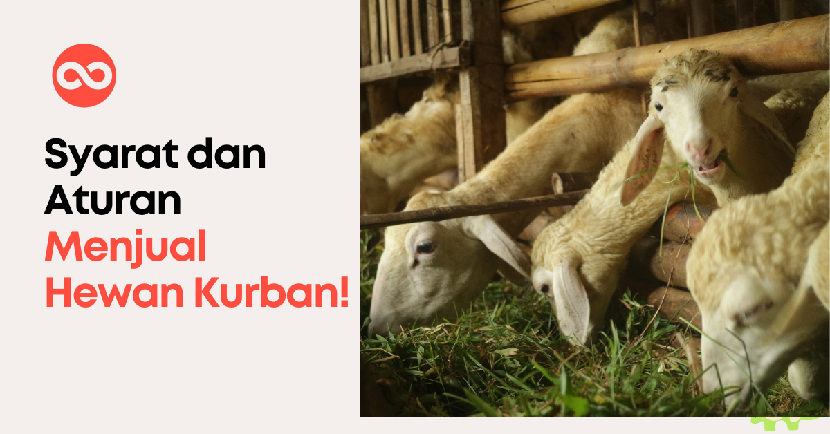 Syarat dan Aturan Menjual Hewan Kurban!
